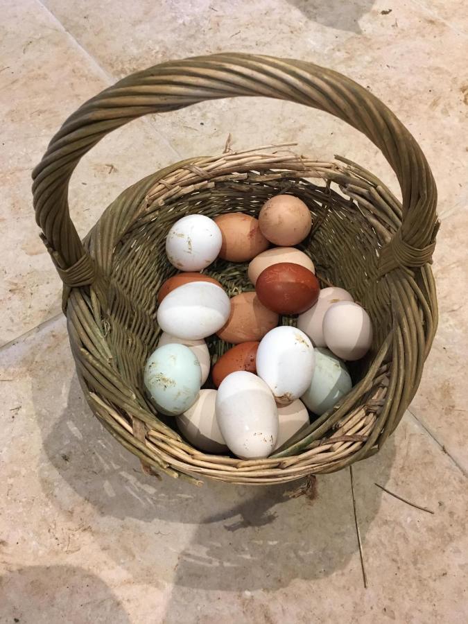 브리스틀 Woodcock Farm 아파트 외부 사진